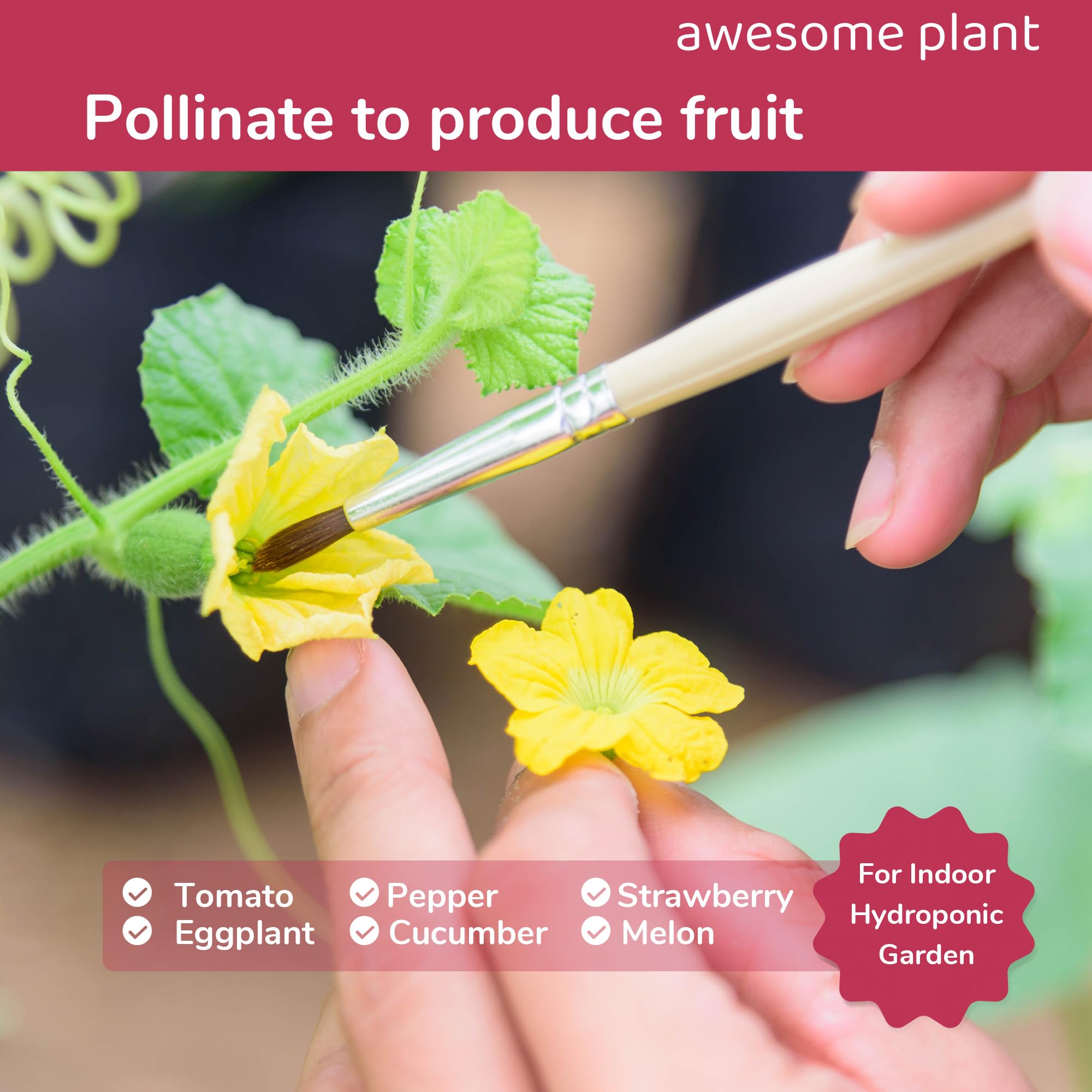 Awesome Plant pollination brush used on tomatoes supports even pollen coverage in hydroponics.