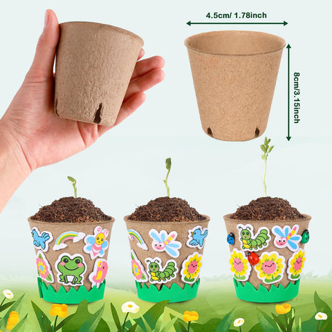 Aweyka paper peat pots provide sturdy containers for small plants.