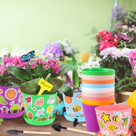 Aweyka seedling pots with clear dimensions ideal for transplanting.