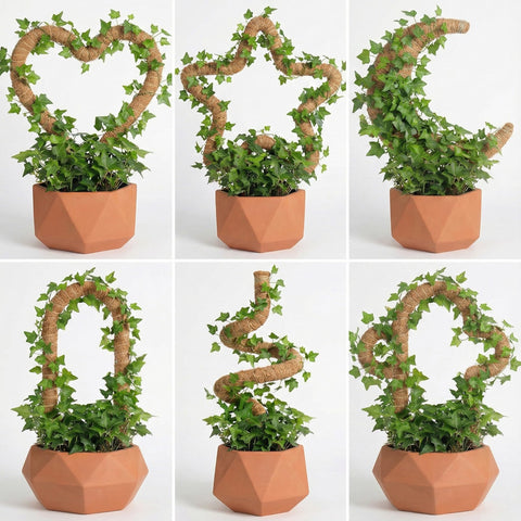 AWIBIKU plant support for Monstera and pothos keeps stems organized.