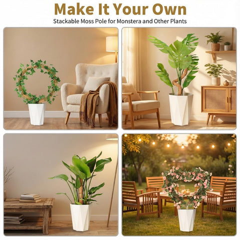 AWIBIKU complete set simplifies setup for beginners and growers.