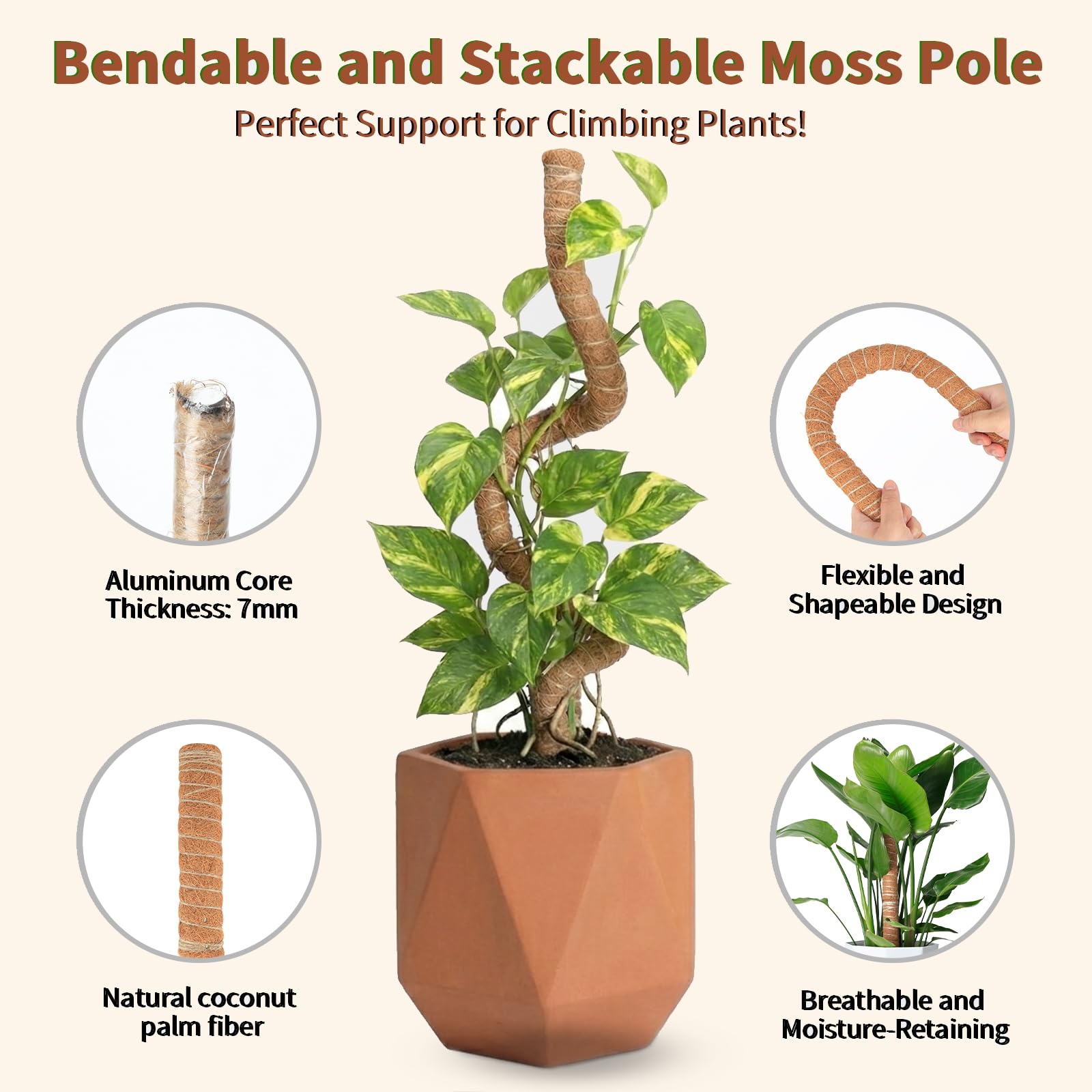 AWIBIKU moss pole shapes stems into hearts or arches.