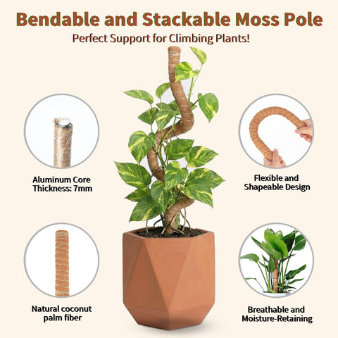 AWIBIKU moss pole shapes stems into hearts or arches.