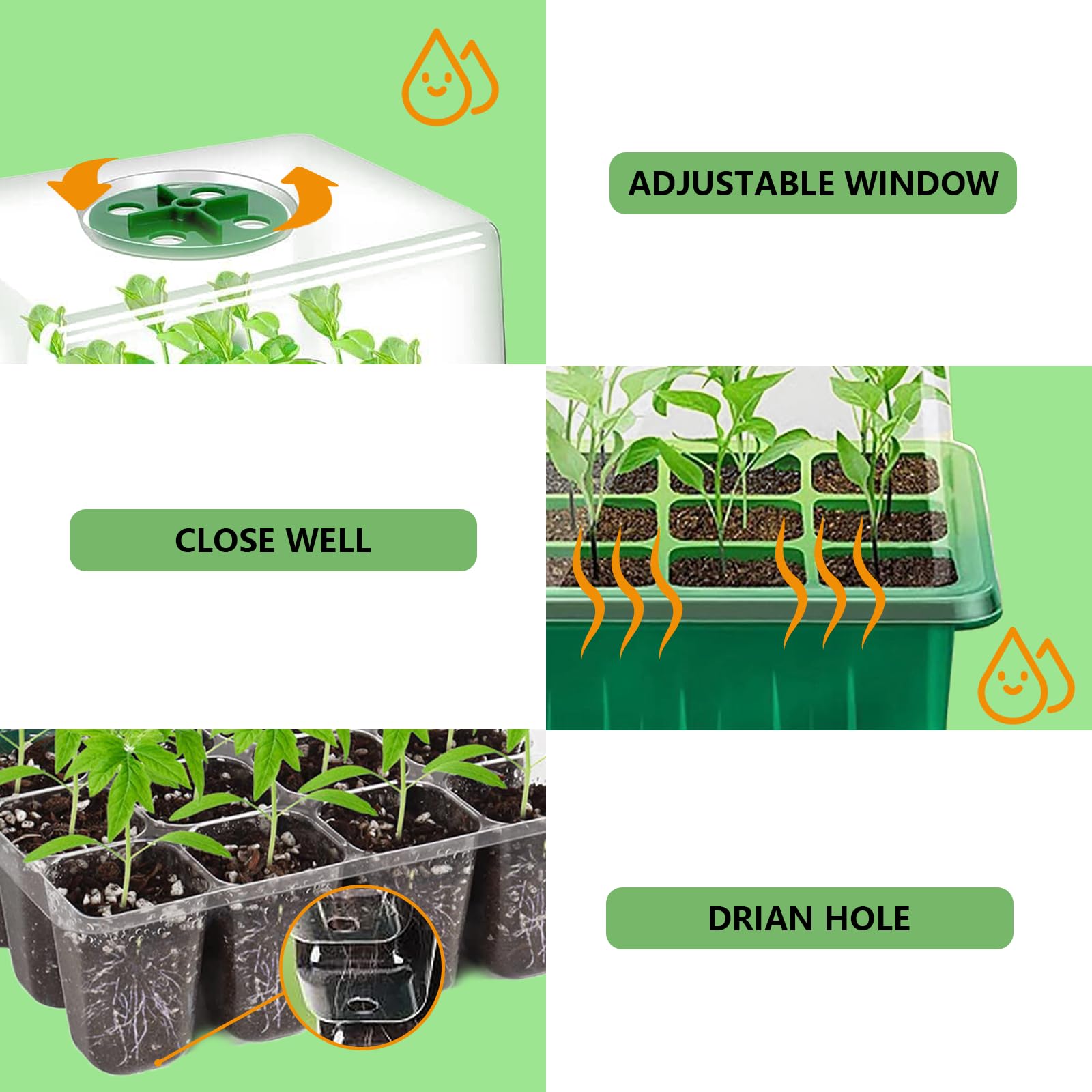 AWLYLNLL humidity dome preserves moisture for steady seedling growth
