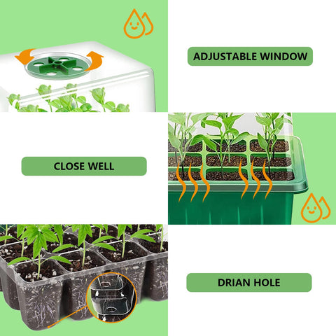 AWLYLNLL humidity dome preserves moisture for steady seedling growth
