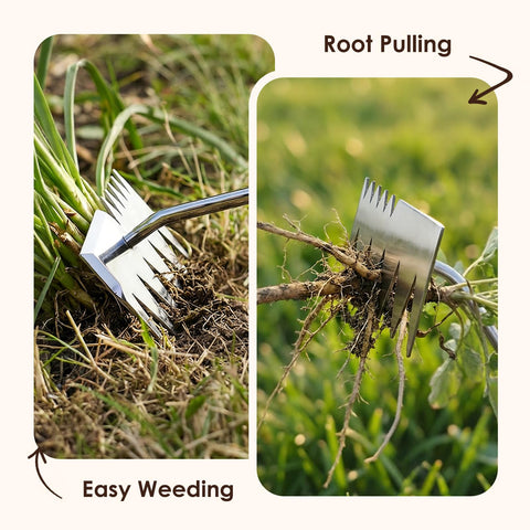 Awrose weed puller with extendable handle and non-slip grip