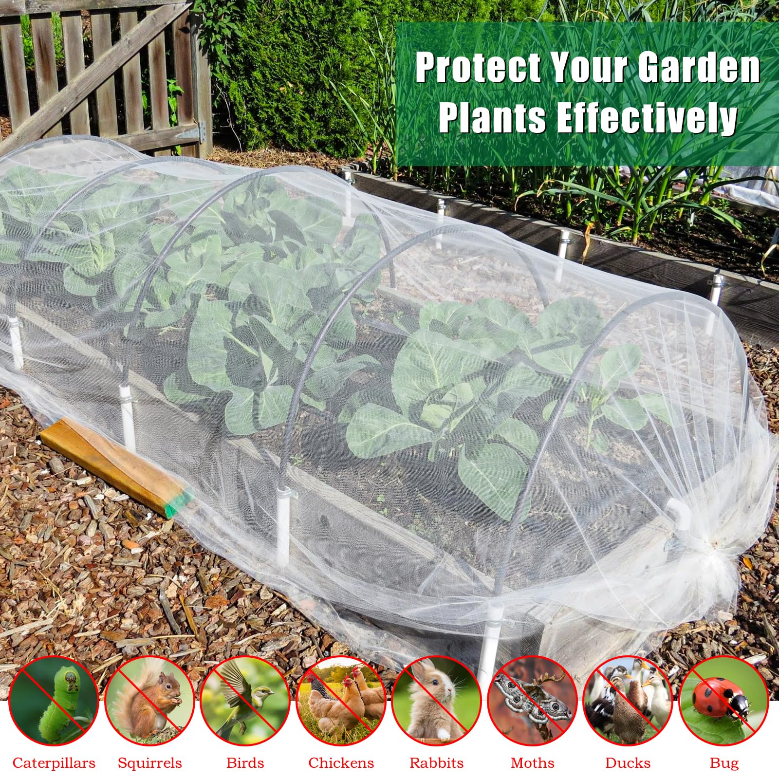 Axcoix bird and insect barrier netting protecting crops in garden
