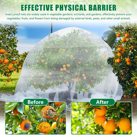Axcoix garden netting cover over fruit tree deterring pests
