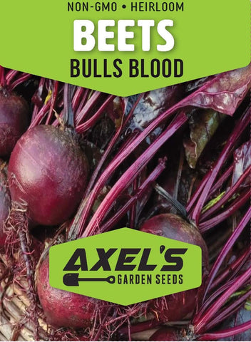 Axel's Garden Seeds Bulls Blood beet root harvest ready for roasting and cooking