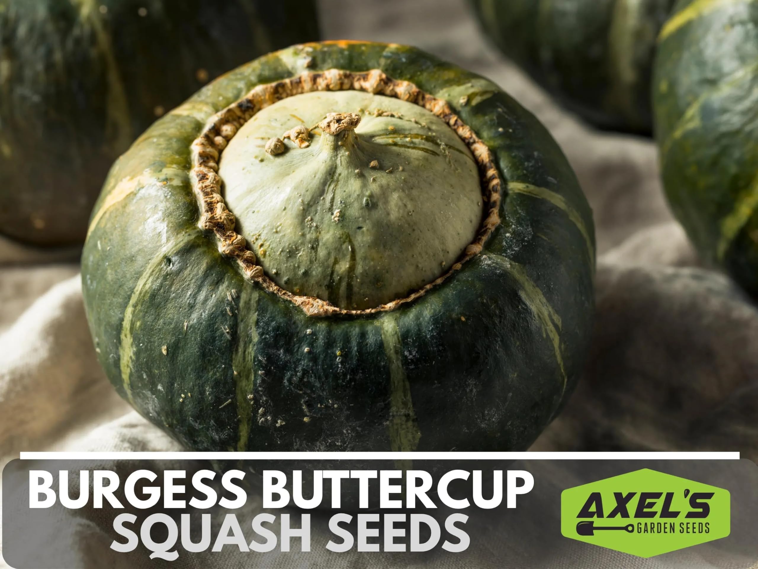Axel's Garden Seeds Burgess Buttercup seed packet back with planting instructions.