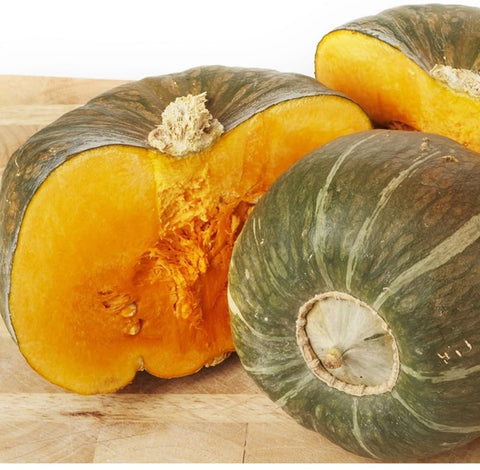 Axel's Garden Seeds Burgess Buttercup squash seeds, product close-up showing heirloom quality.
