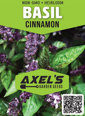 Axel's Garden Seeds Cinnamon Basil leaf closeup with vibrant purple stems