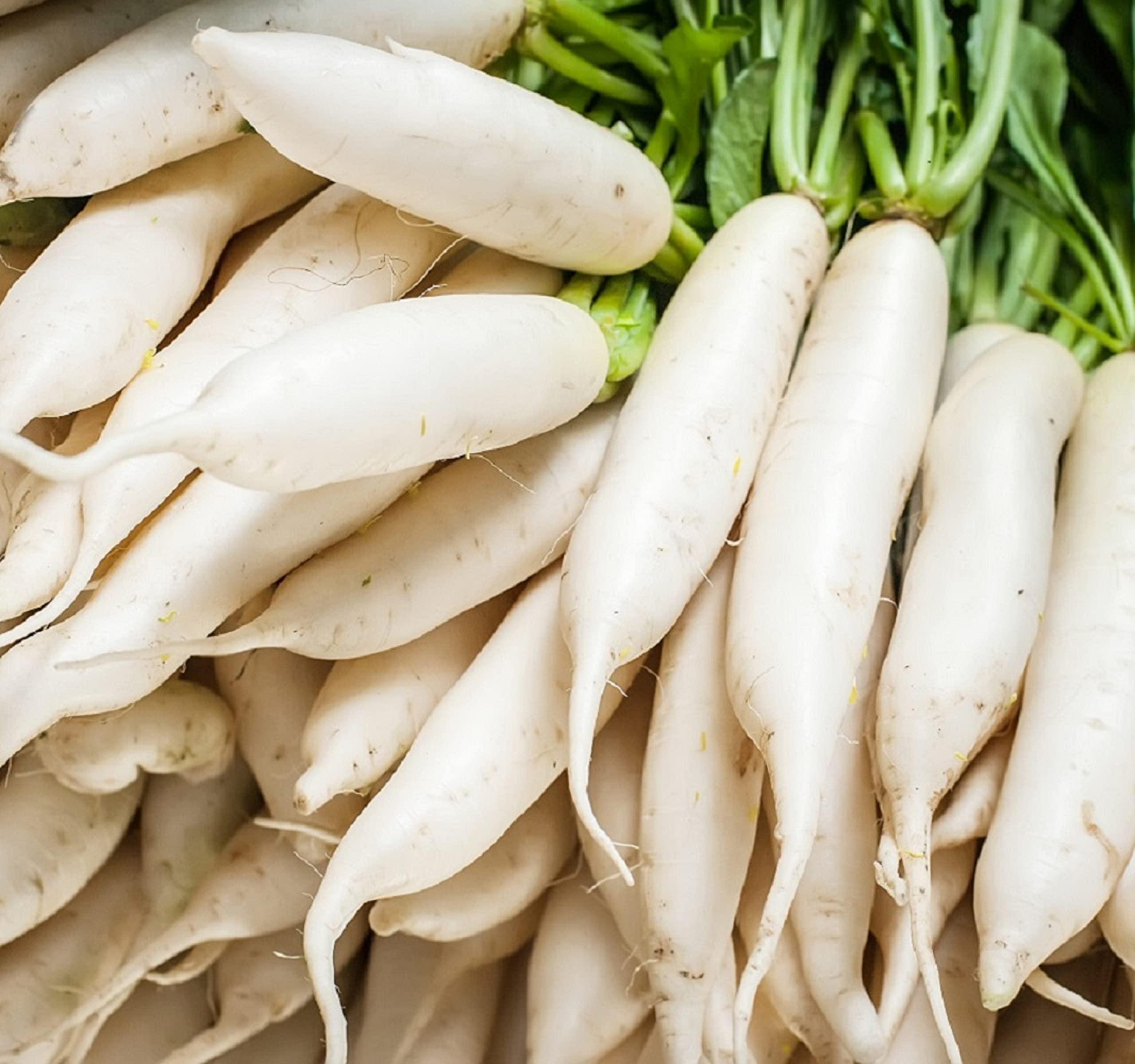 Axel's Garden Seeds Japanese Daikon radish seeds pack front for home garden planting