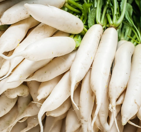Axel's Garden Seeds Japanese Daikon radish seeds pack front for home garden planting