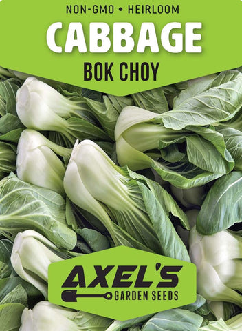 Axel's Garden Seeds harvest-ready cabbage from a thriving home garden.