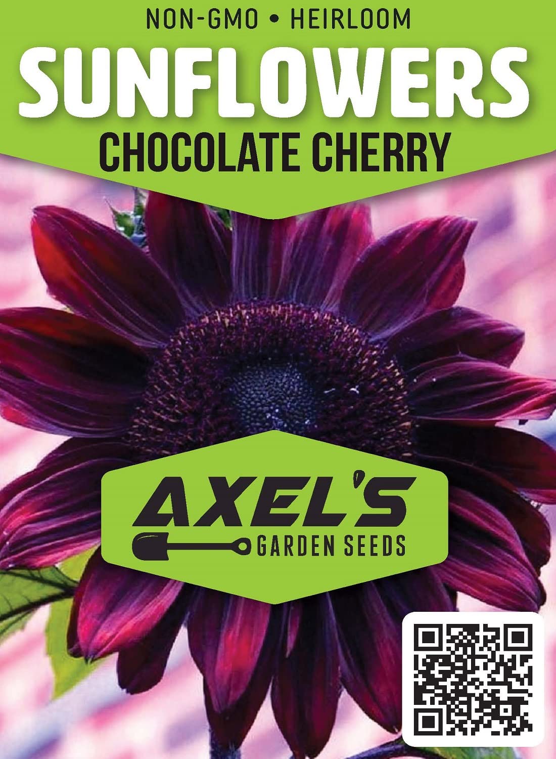 Axel's Garden Seeds: heirloom Chocolate Cherry sunflowers with vibrant blooms