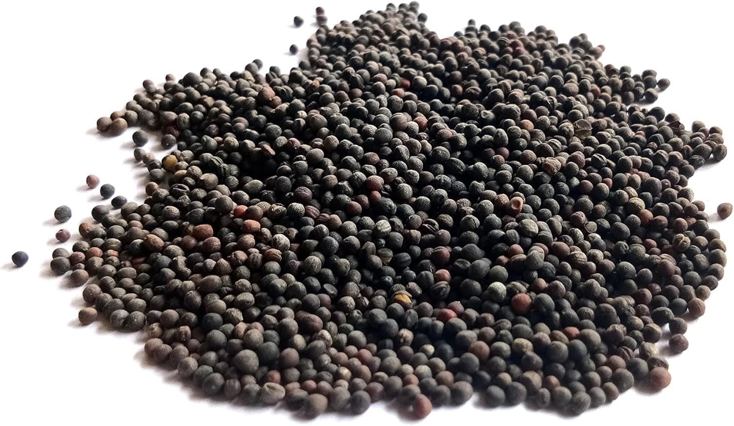 Axel's Garden Seeds heritage kale seed packet supports heirloom variety without GMOs.