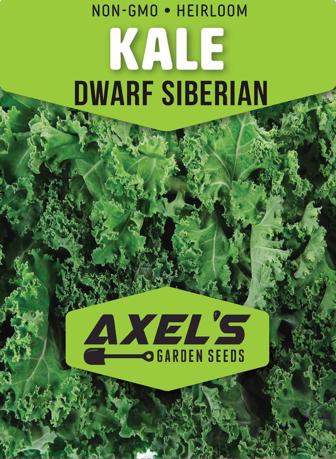 Axel's Garden Seeds Kale growing in garden bed for fast-growing harvests.