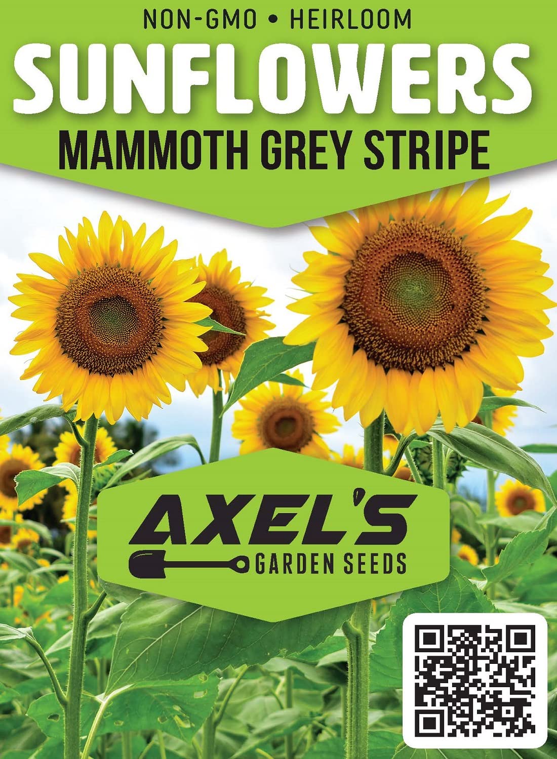 Box displays 50 Mammoth Grey Stripe sunflower seeds for planting