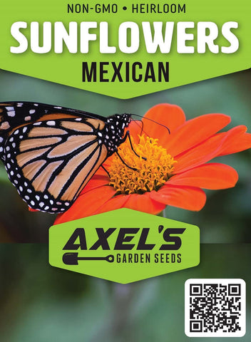 Axel's Garden Seeds Mexican Sunflower bloom close-up with vibrant petals
