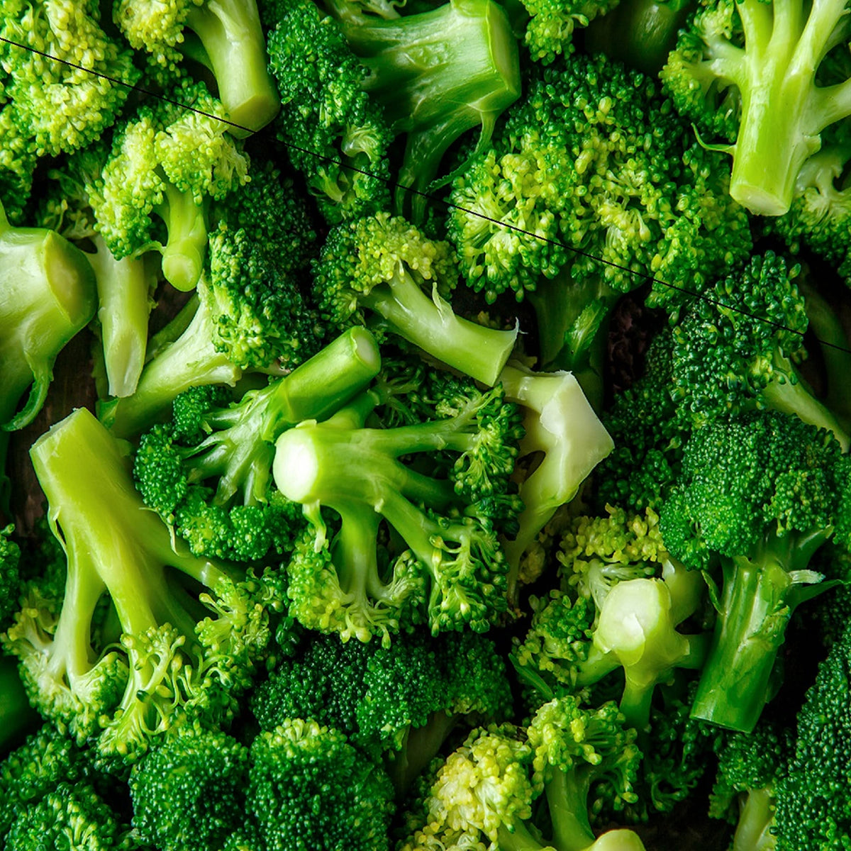 Axel's Garden Seeds front packet displays Organic Di Cicco broccoli for home gardens.