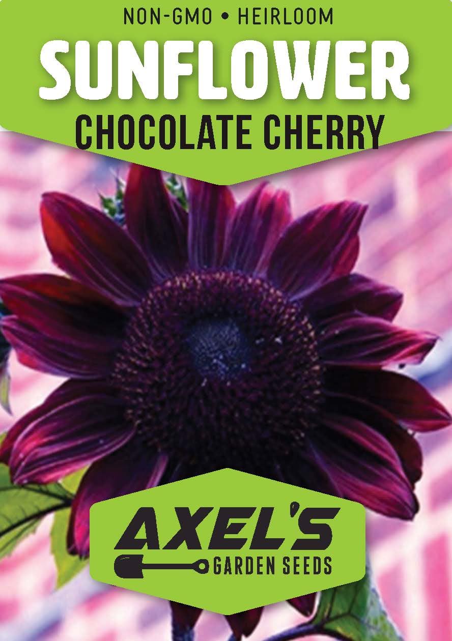 Axel's Garden Seeds purple sunflower seeds ready for easy sowing in home gardens.