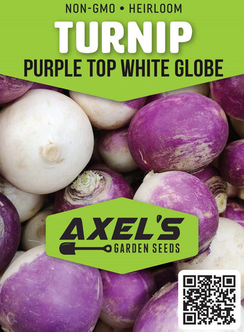 Axel's Garden Seeds purple top turnip illustration showing mature root for cool-season harvest.