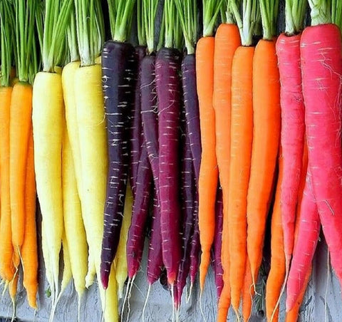 Axel's Garden Seeds Rainbow carrot seed packet ready for home planting and color harvests
