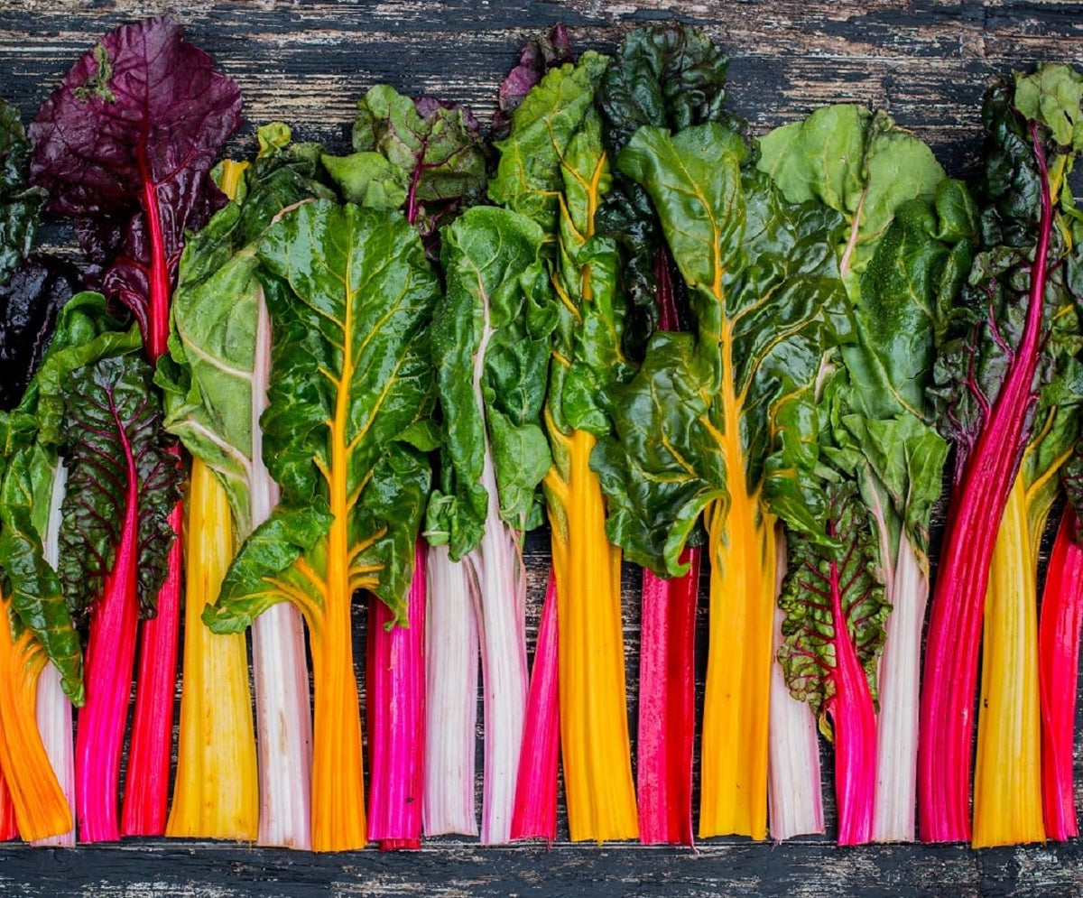 Axel's Garden Seeds Rainbow Swiss Chard seeds pack for outdoor planting and vibrant harvests.