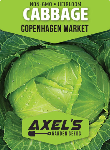 Axel's Garden Seeds Red Acre cabbage heads add color to meals.