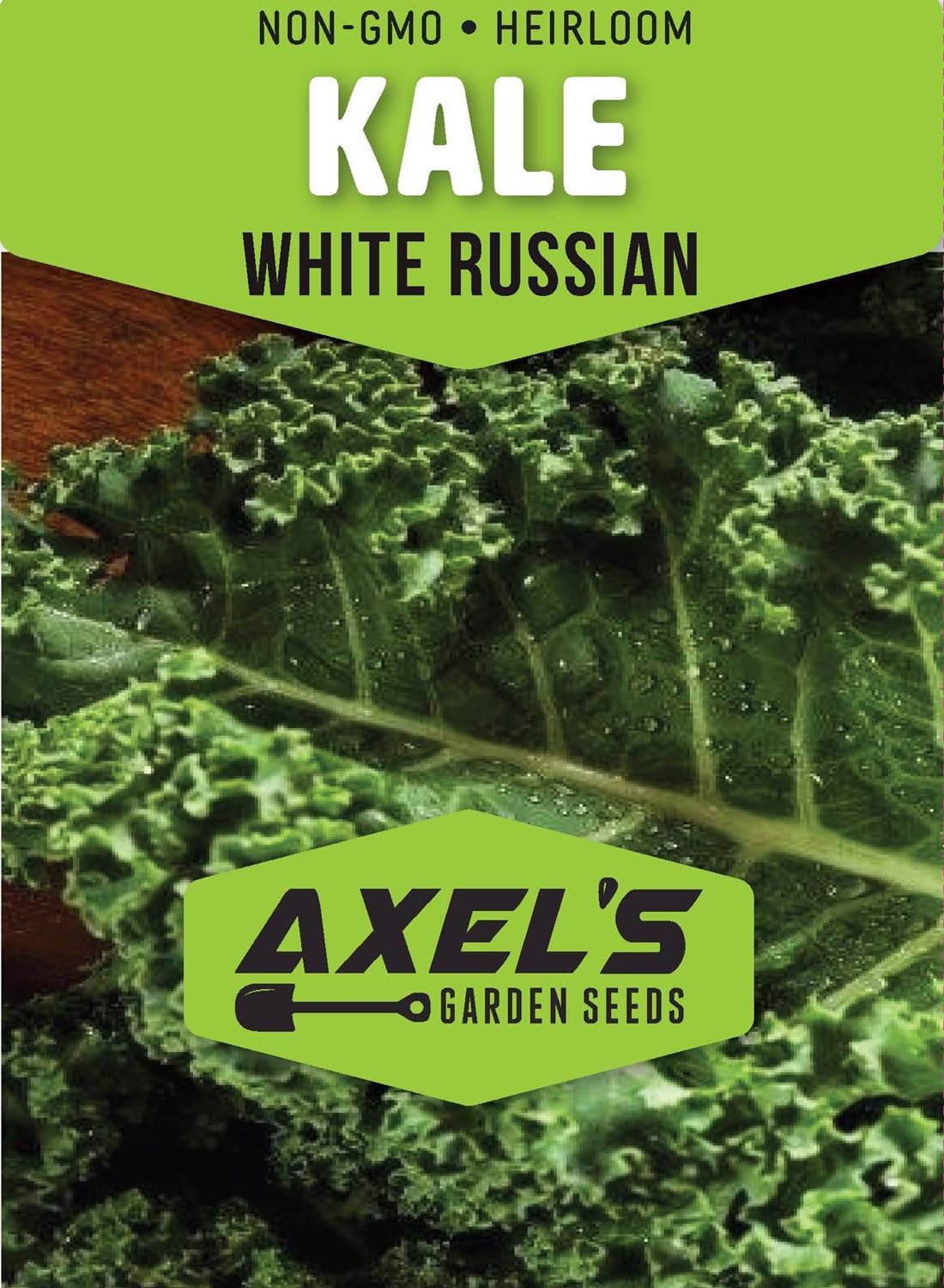 Axel's Garden Seeds Scarlet Red Kale vibrant purple-red foliage in cool weather.