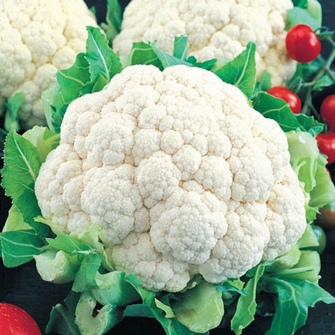 Axel's Garden Seeds Snowball cauliflower seeds packet front for home gardens