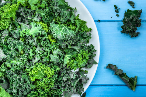 Axel's Garden Seeds Vates Blue Scotch kale stem and leaves ready for harvest.