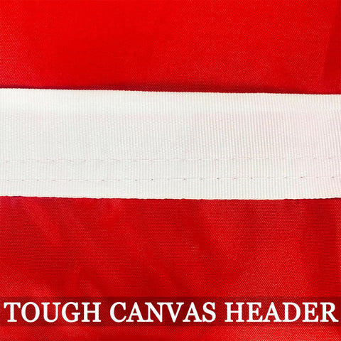AXJBW Tennessee flag reads clearly when flown on a flagpole.