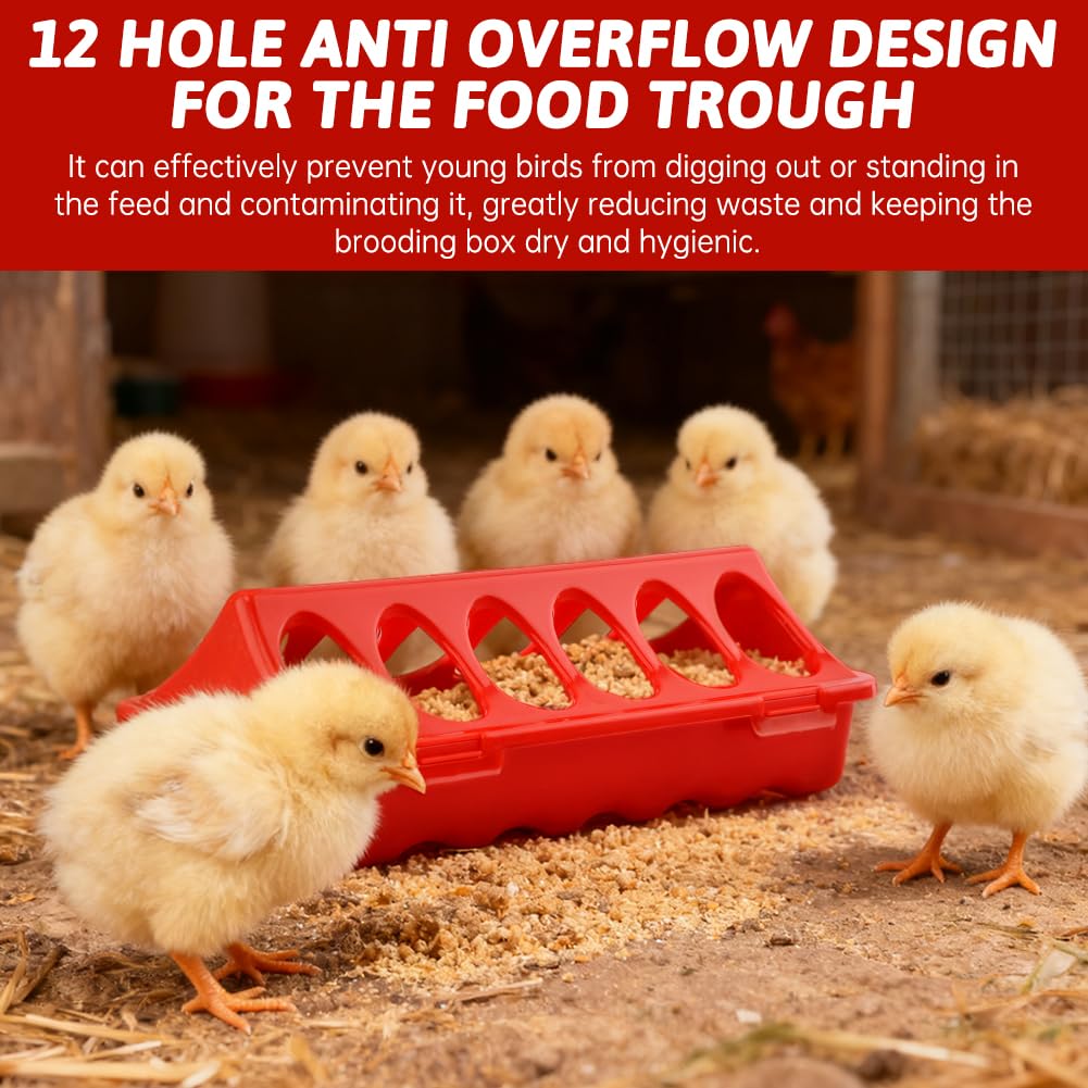 Axrivonte chick care kit shown in clean brooder setup.