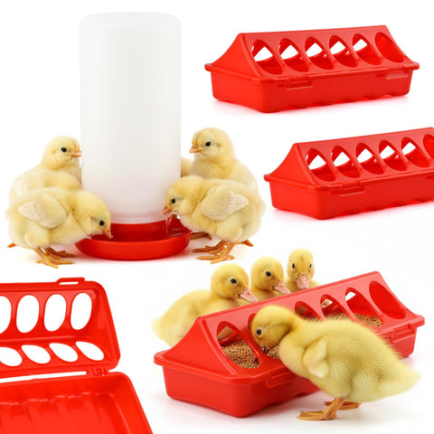 Axrivonte chick feeder and waterer kit ready for efficient brooder setup.