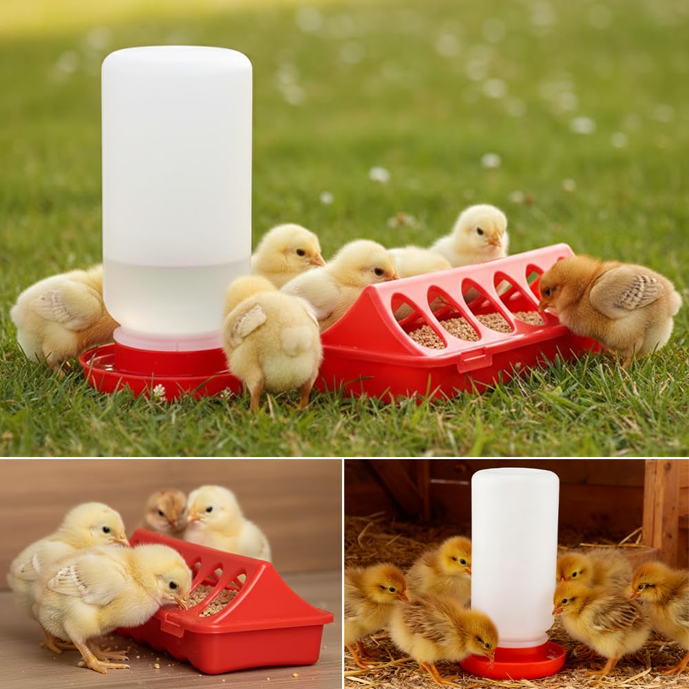 Axrivonte chick care kit featured in a tidy brooder scene.