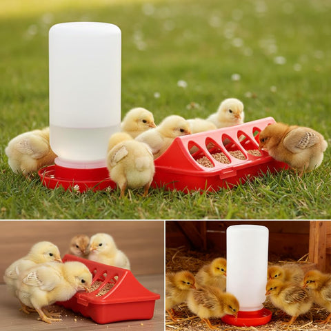 Axrivonte chick care kit featured in a tidy brooder scene.