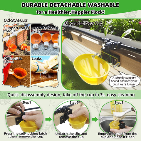 Ayakol large-size water cups support stress-free flock drinking