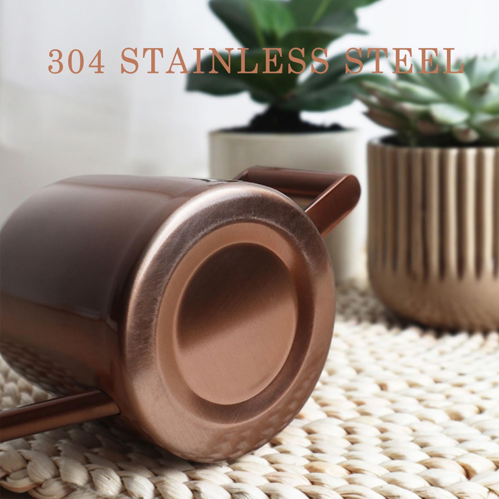 Aychingye mini bonsai watering pot for desktop plant care.