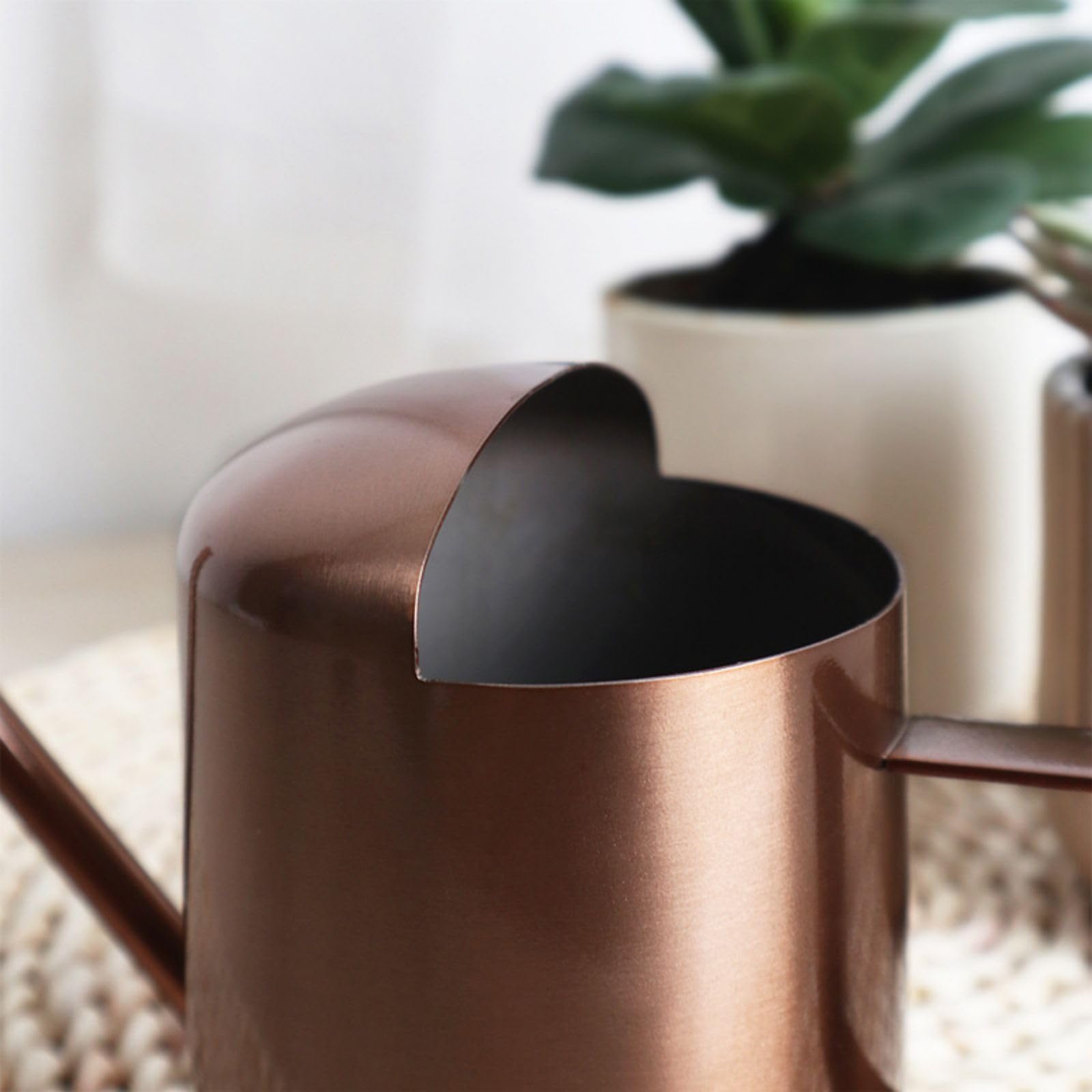 Aychingye bronze office decor watering can doubles as stylish desk accessory.