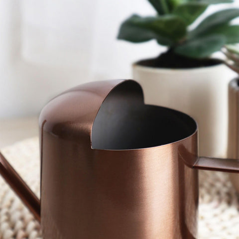 Aychingye bronze office decor watering can doubles as stylish desk accessory.