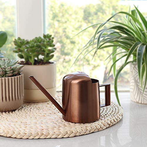 Aychingye stainless steel watering can with precision nozzle for accurate watering.