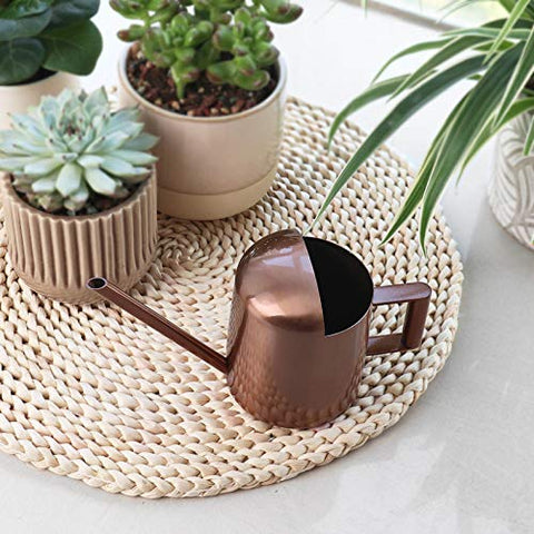 Aychingye 300ml bronze watering can ideal for small plants and bonsai.