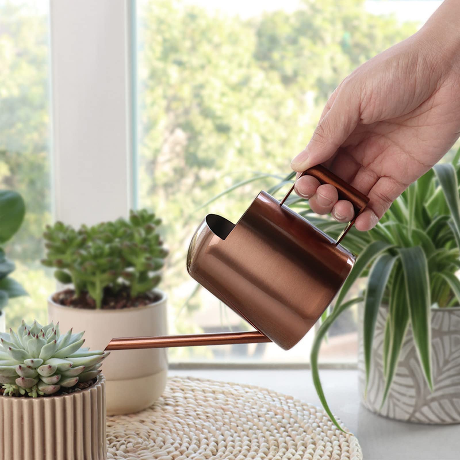 Aychingye long-spout bronze watering can for precise indoor watering.