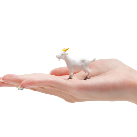Aydinids goats used in diy crafts and succulent pot decorations