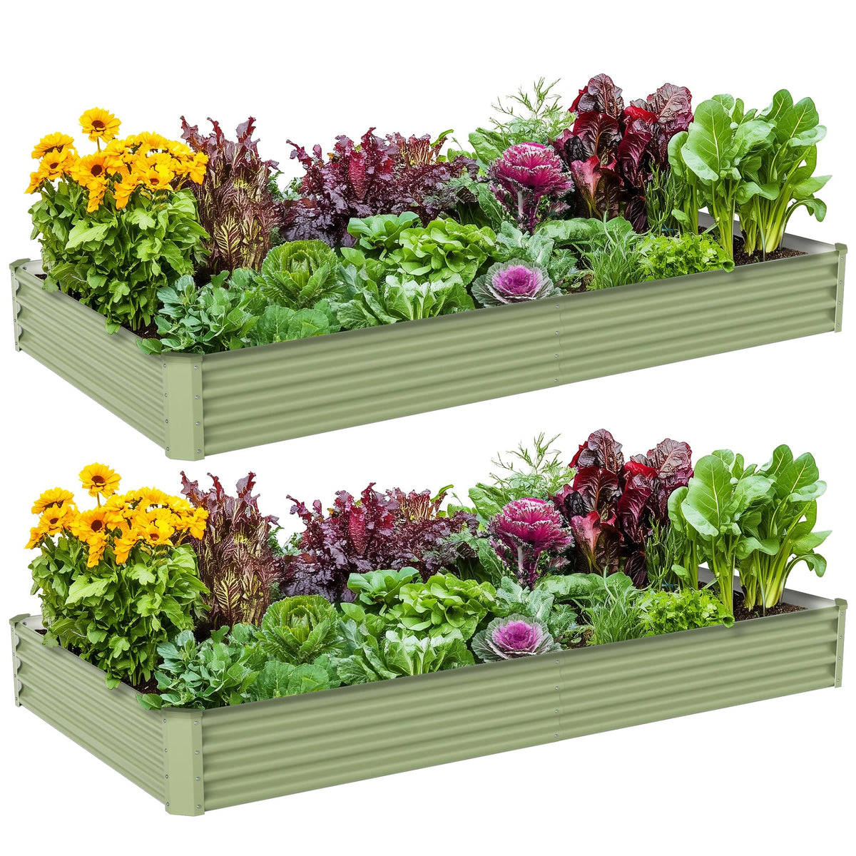 Ayen Guard two piece galvanized raised bed for durable outdoor vegetable growing.