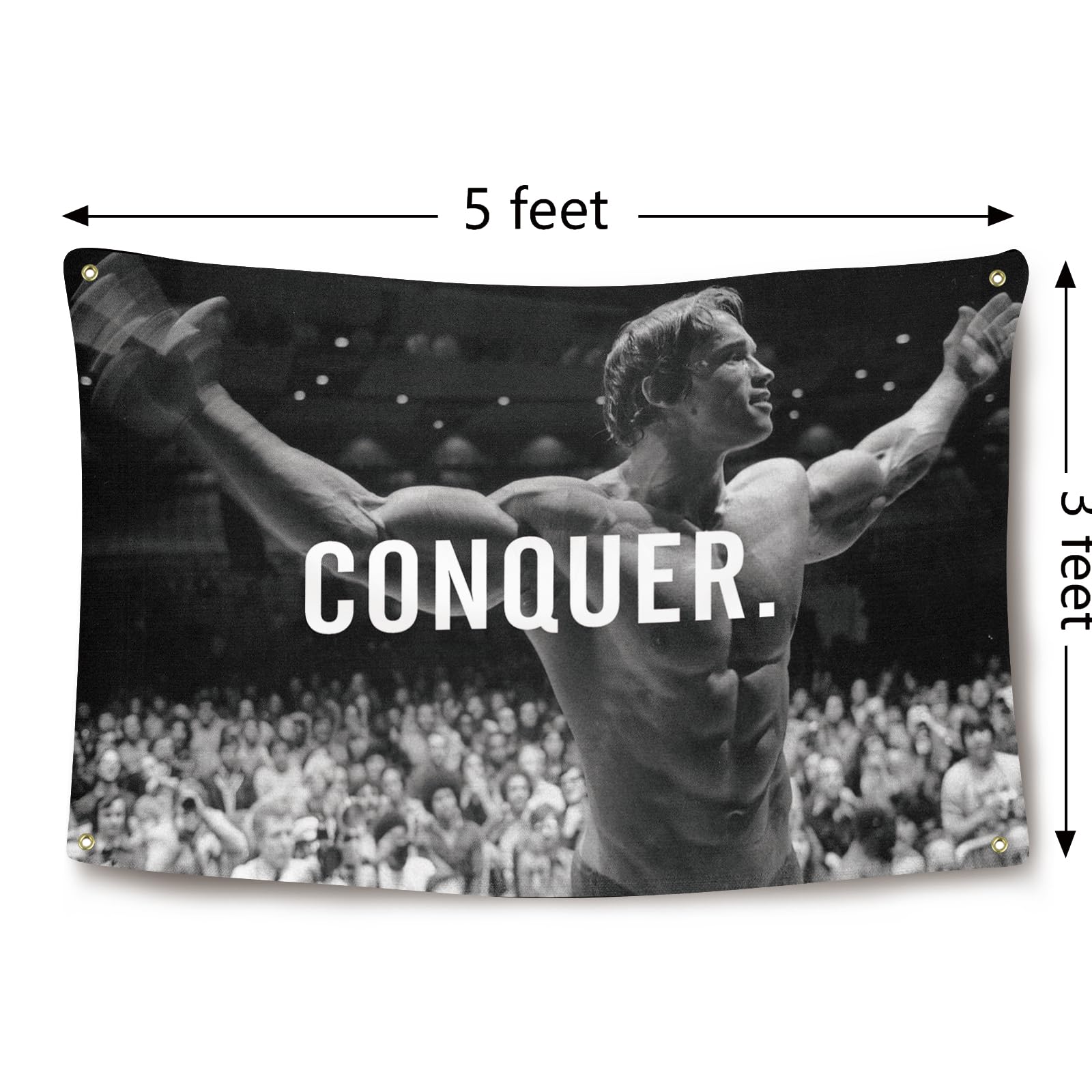 Ayimiora Conquer Flag HD print with bright colors for vibrant wall displays