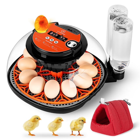 Aymerox 12-egg incubator front view with LED display for precise incubation control.