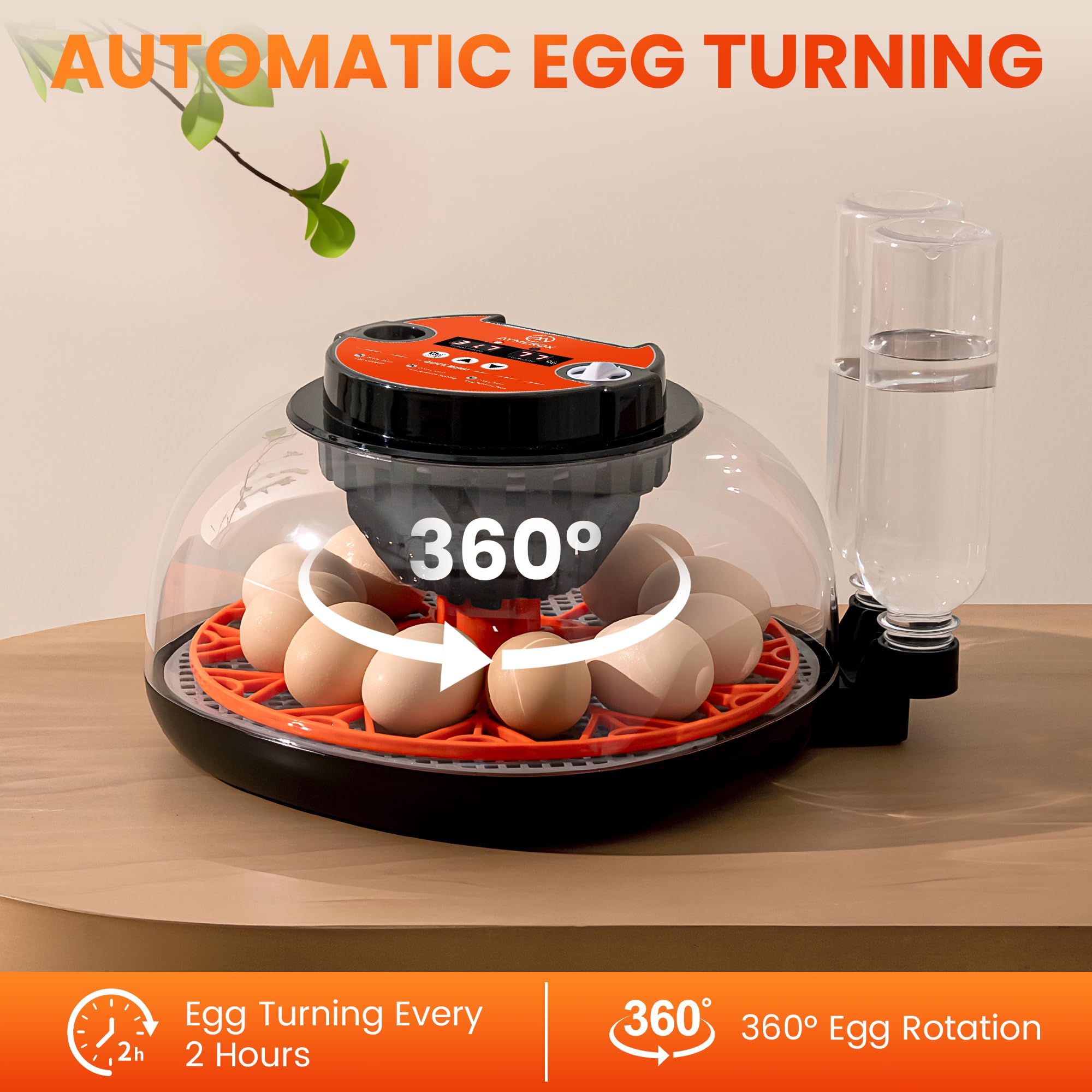 Aymerox incubator supports hatching eggs from chicken, duck, quail, and goose.